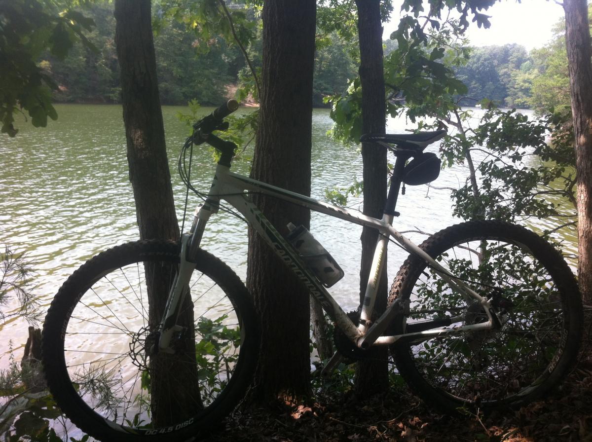 Cannondale Trail 6: A mountain bike propped against two trees, with a serene lake in the background. The water reflects the surrounding greenery, and the scene is framed by leafy branches. The bike is white with dark tires and features a water bottle holder.