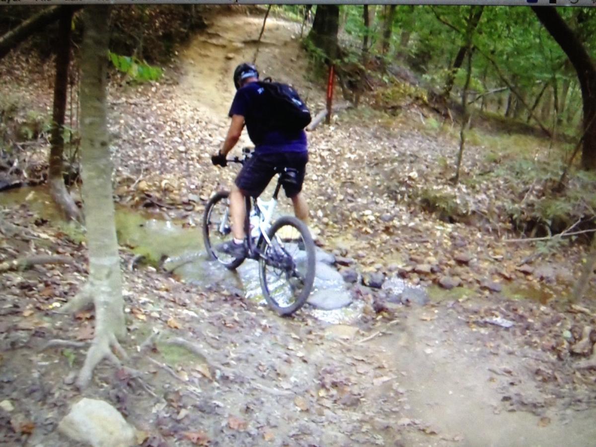 A mountain biker navigates a rocky path, crossing a small stream in a wooded area. The cyclist is wearing a helmet and a backpack, and the terrain features fallen leaves and tree roots. Blankets Creek mountain bike trail.
