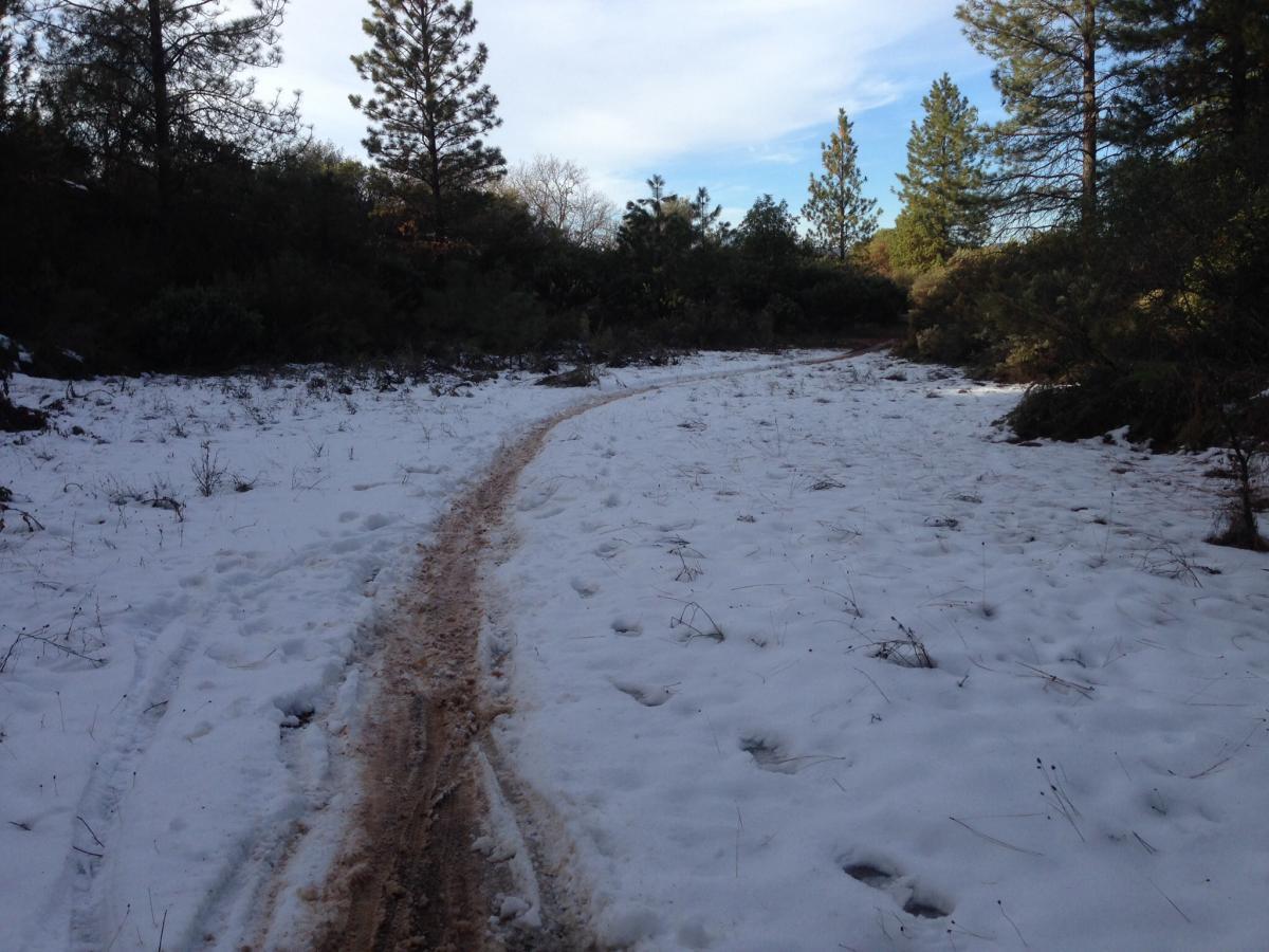 A snow-covered hiking trail winding through a forest, flanked by pine trees and shrubs. The path shows signs of use, with some muddy areas visible where the snow has melted. The sky is partly cloudy, suggesting a cool and calm atmosphere. Clementine / Forresthill Connector Trail mountain bike trail.