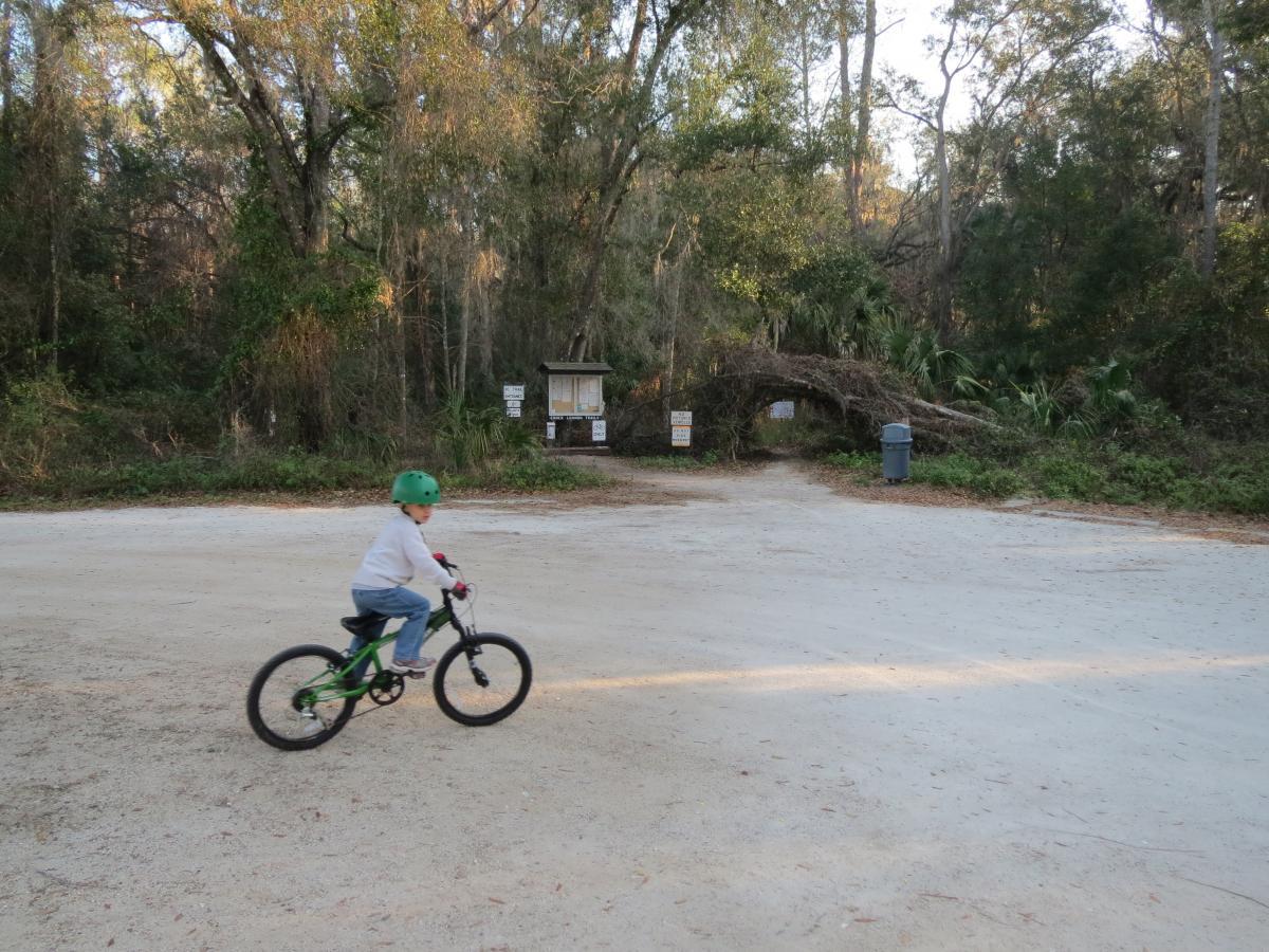 A young child wearing a green helmet rides a small green bicycle along a sandy path in a wooded area. In the background, there are trees and a small information kiosk with signs. A fallen tree and a trash can are visible nearby. The scene is set in a natural environment with soft evening light. Chuck Lennon Park mountain bike trail.