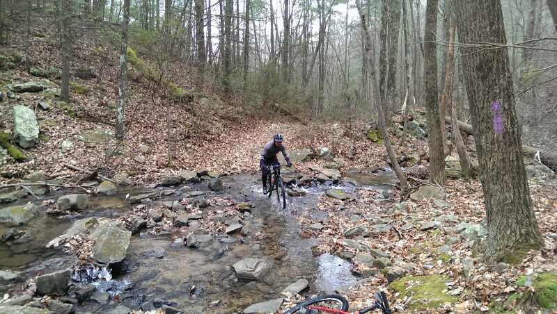 A cyclist navigating a rocky stream through a wooded area, surrounded by trees with autumn leaves on the ground. The scene captures a serene, natural setting with gentle water flow and boulders. Elizabeth Furnace mountain bike trail.
