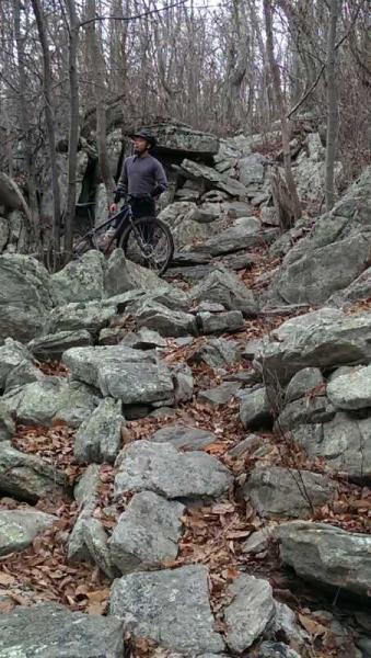 A person stands beside a mountain bike on a rocky, uneven trail surrounded by trees. The path is covered with large stones and scattered leaves, indicating a rugged outdoor environment, likely in a wooded area during autumn or early winter. Elizabeth Furnace mountain bike trail.