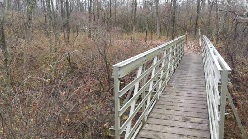 A wooden footbridge leads through a wooded area with sparse vegetation, surrounded by trees and shrubs in a late-autumn setting. The ground is mostly bare, and the bridge is designed with safety railings on either side. MoMBA @ Huffman MetroPark mountain bike trail.