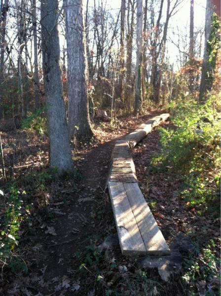 A narrow wooden path meanders through a forest, bordered by trees and fallen leaves. The sunlight filters through the branches, casting shadows on the ground. The trail leads into the distance, inviting exploration in the serene natural setting. Back Yard Trails mountain bike trail.