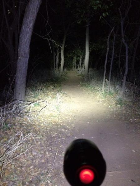 A dark forest path illuminated by a flashlight beam, showing a dirt trail surrounded by trees and underbrush. The flashlight is in the foreground, casting light on the trail ahead while the surrounding area remains shadowy and faintly visible. Bluff Creek Trail mountain bike trail.