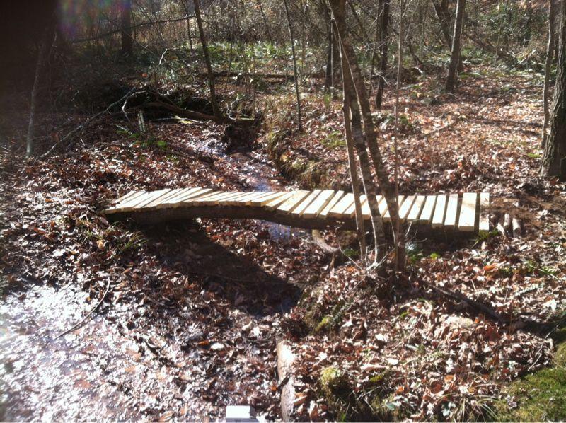 A wooden bridge crosses a small stream in a wooded area, surrounded by fallen leaves and trees. Sunlight filters through the foliage, illuminating the bridge and the natural landscape around it. Sheltowee Trace - Laurel Lake Trail mountain bike trail.