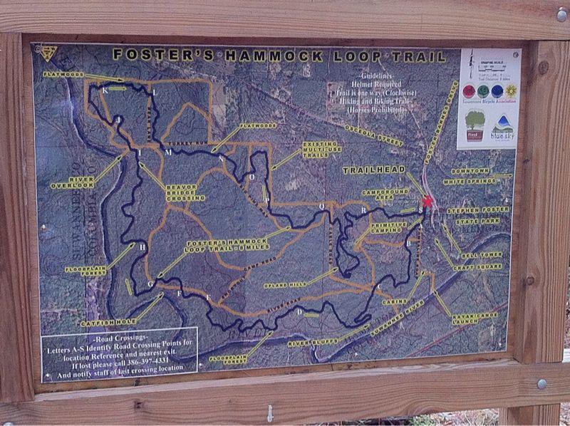Map of Foster's Hammock Loop Trail, displaying various hiking paths, trail markers, and designated road crossings. The trailhead is indicated, along with nearby landmarks and guidance for visitors. Fosters Hammock mountain bike trail.