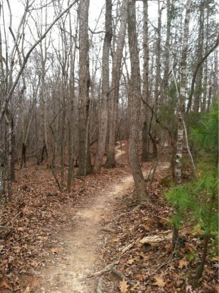 A winding dirt path through a wooded area with bare trees and fallen leaves, suggesting a serene and natural outdoor setting. Colonel Francis Beatty Park mountain bike trail.
