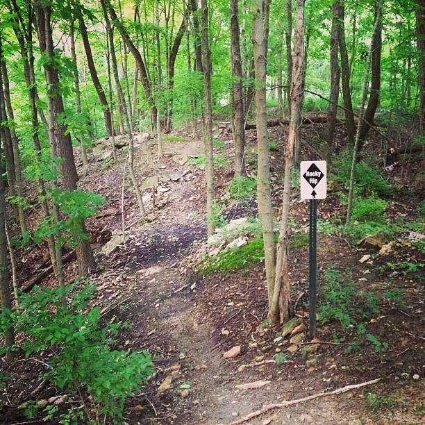 A wooded trail in a lush green forest, with a signpost indicating the "Rocky Ridge" trail. The path is surrounded by trees and rocky terrain, inviting outdoor exploration. Wildlife Prairie Park mountain bike trail.