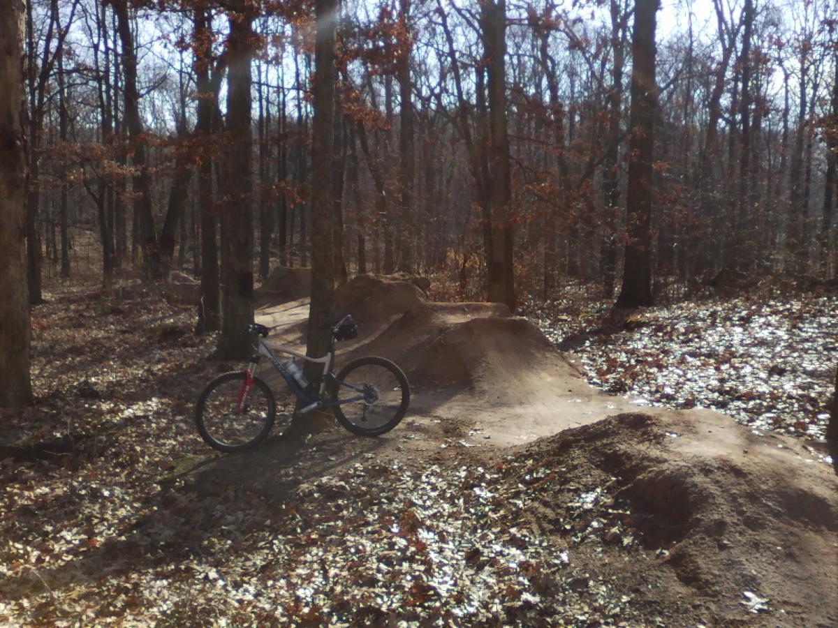 A mountain bike parked on a dirt trail surrounded by trees in a wooded area, with dirt jumps in the background. The ground is covered with fallen leaves, and the scene is bathed in natural sunlight. Wolfes Pond park mountain bike trail.
