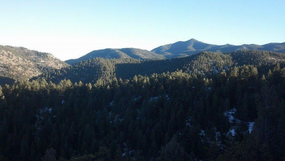 Lush green forested mountains under a clear blue sky, with rolling hills and peaks in the background. The scene captures the serene beauty of nature, highlighting the vibrant greenery and the rugged terrain. Betasso Preserve mountain bike trail.
