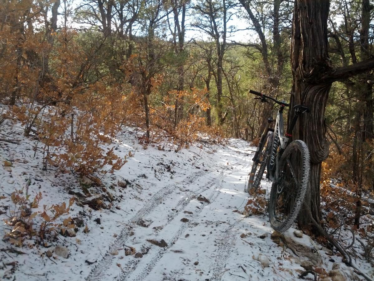 A mountain bike leaning against a tree on a snow-covered trail surrounded by autumn foliage. The path is lined with leafless branches and scattered rocks, indicating a scenic outdoor route through a forested area. Tunnel Canyon mountain bike trail.