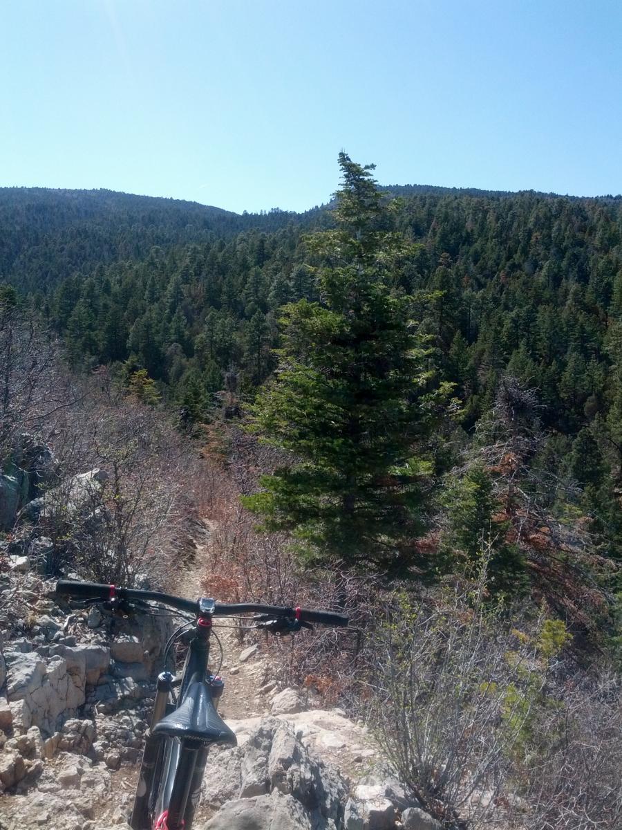 A mountain bike positioned on a rocky trail surrounded by lush green trees and hills, with a clear blue sky above. Faulty Trail mountain bike trail.
