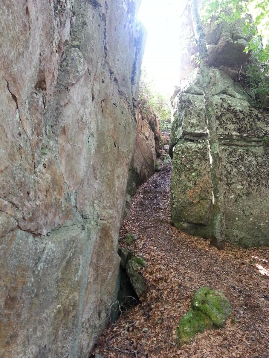 A narrow path winding between two tall rock formations, with sunlight streaming down from above, surrounded by greenery and fallen leaves on the ground. North Mountain/longdale Loop mountain bike trail.