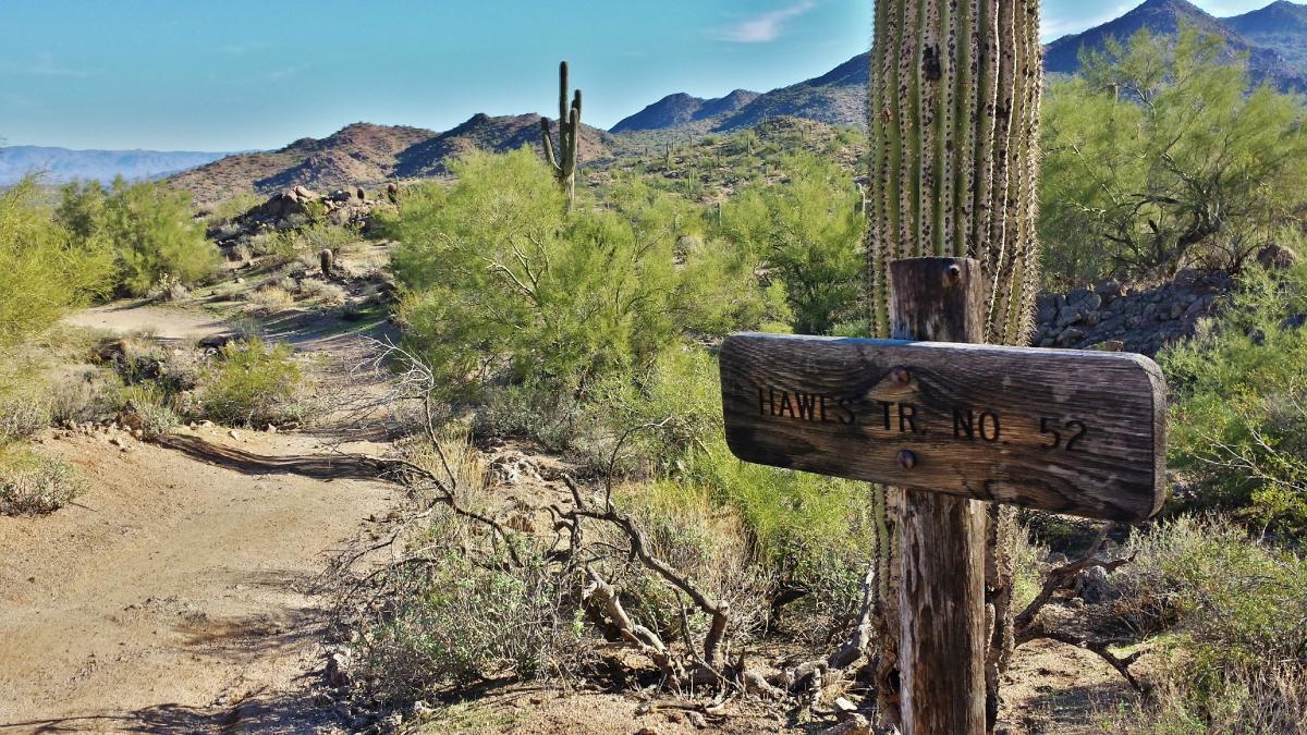 A wooden trail sign marked "Hawes Tr No. 52" in a desert landscape, with a dirt path winding through greenery and distant mountains under a clear blue sky. Hawes Loop mountain bike trail.