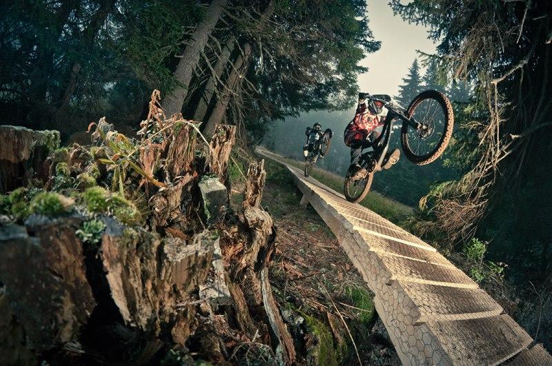 Two mountain bikers perform tricks on a wooden bike trail surrounded by tall trees and foliage. The foreground features a moss-covered log, while the bikers are captured mid-air, showcasing their skills against a misty forest backdrop. Bike Park Kopaonik mountain bike trail.