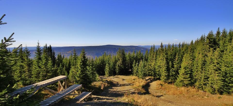 A serene landscape featuring a clear blue sky above a dense forest of evergreen trees. In the foreground, a wooden pathway leads through the trees, suggesting a trail. The scene conveys a sense of tranquility and natural beauty, highlighting the rugged terrain and expansive views in the distance. Hafjell Bike Park mountain bike trail.
