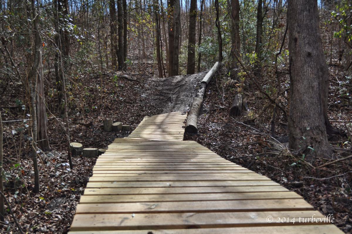 Wooden path winding through a wooded area with trees, fallen logs, and scattered leaves. The trail appears to lead into a more rugged terrain, suggesting a natural hiking route. Horry County Bike Run Park mountain bike trail.