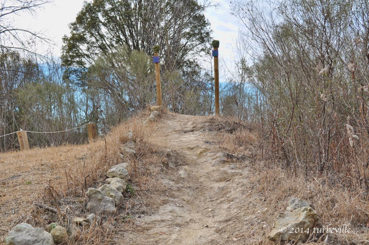 A dirt path leading upward between sparse vegetation, with two wooden posts at the trail’s end. The posts are topped with green and purple caps, and surrounded by dry, brown grass and scattered rocks. The sky is partly cloudy. Horry County Bike Run Park mountain bike trail.