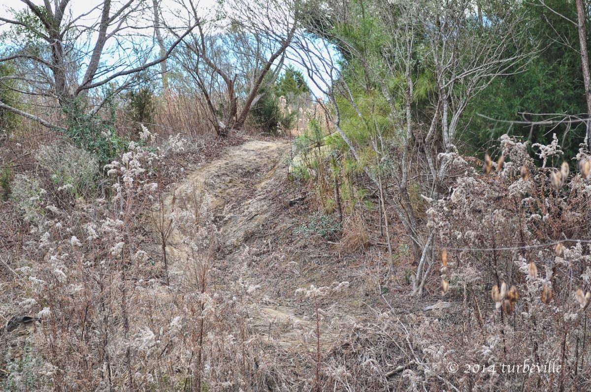 A dirt trail winding through a natural landscape, surrounded by dry grasses and sparse trees. In the background, blue sky is visible through the branches. The scene conveys a sense of tranquility in a mixed vegetation environment. Horry County Bike Run Park mountain bike trail.