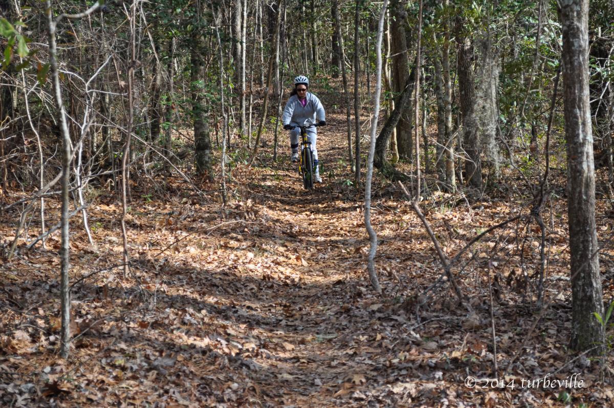 A person riding a mountain bike down a narrow trail surrounded by trees and fallen leaves in a wooded area. The cyclist is wearing a helmet and casual clothing, showcasing an active outdoor lifestyle. Jackson Bluff Trail System mountain bike trail.