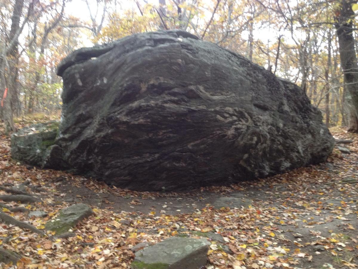 A large, moss-covered rock surrounded by autumn leaves and trees in a wooded area. The rock has distinctive layered textures and is partially obscured by fallen leaves and branches. Farlow Gap mountain bike trail.