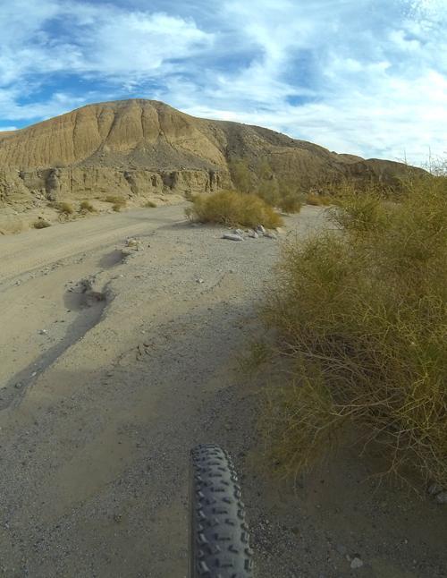 A dirt trail winding through a desert landscape, with rocky hills in the background and sparse vegetation along the path. In the foreground, a bicycle tire is visible, suggesting an action shot of mountain biking. The sky is partly cloudy, adding to the rugged outdoor atmosphere. Palm Wash / Truckhaven / Arroyo Salado Loop mountain bike trail.