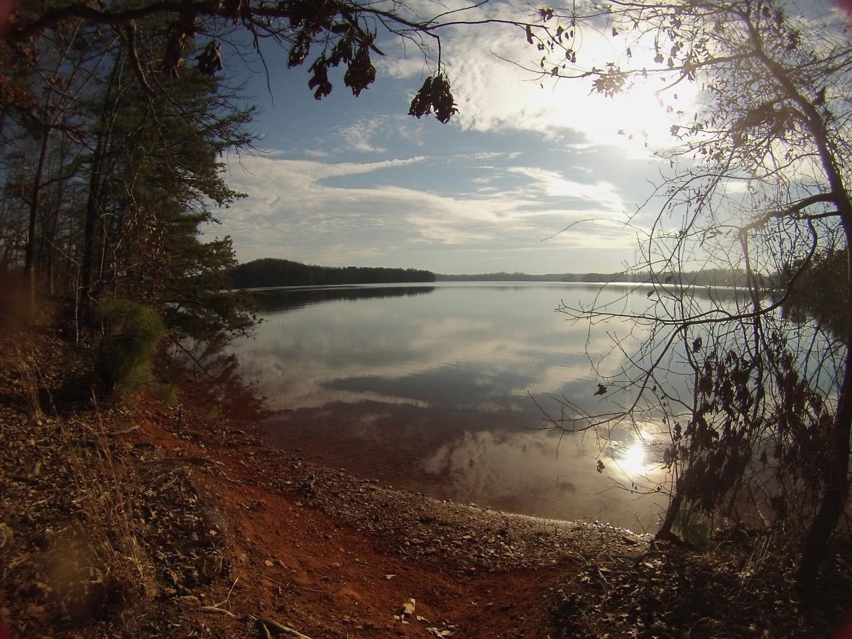 A tranquil lakeside scene during the day, featuring calm waters reflecting the sky and surrounding trees. The foreground includes a reddish-brown dirt bank lined with fallen leaves and a few scattered rocks. Branches from trees frame the view, with gentle clouds and sunlight visible in the background. Charleston Park mountain bike trail.