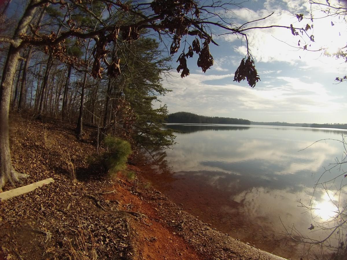 A tranquil lakeside view featuring calm waters reflecting the sky, surrounded by trees on a sandy bank. The scene includes a branch with dried leaves and patches of foliage, set against a backdrop of clouds and sunlight. Charleston Park mountain bike trail.