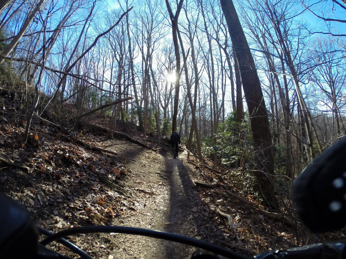 A winding dirt path through a wooded area, with bare trees and fallen leaves covering the ground. A person is seen walking along the trail, with sunlight filtering through the branches above. The image captures a serene outdoor environment, suggesting a peaceful hike or nature walk. Hartshorne Woods Park mountain bike trail.