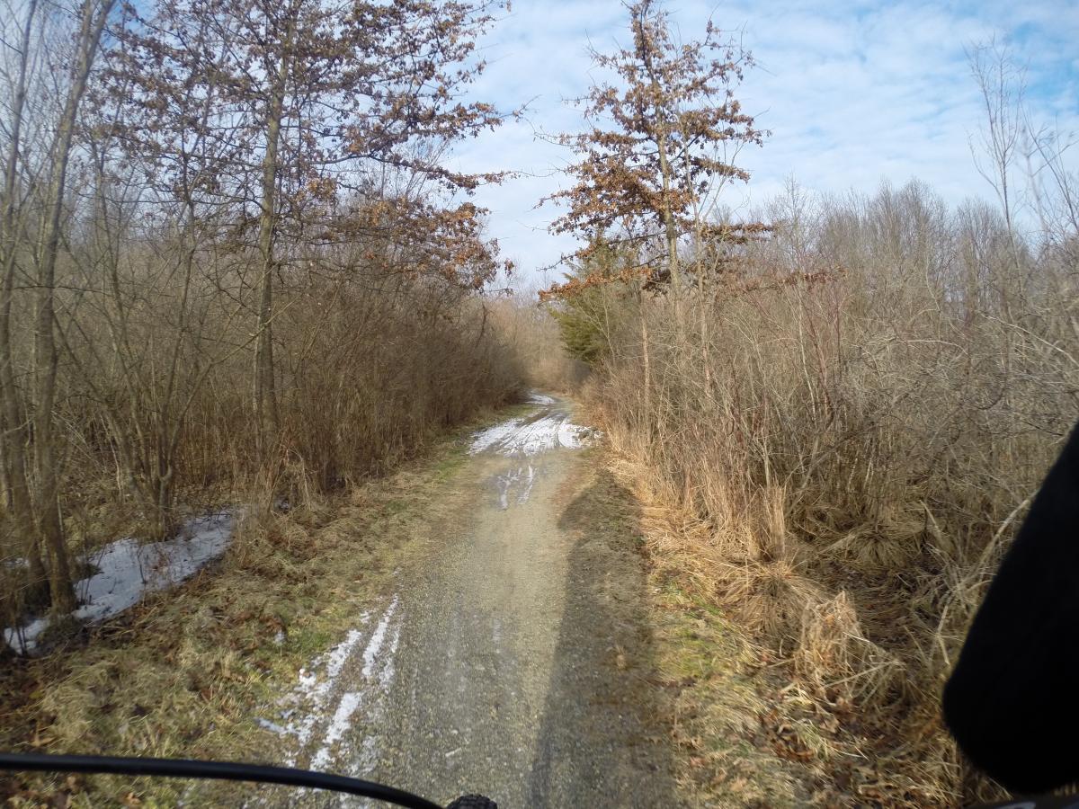 A dirt path winding through a forested area, bordered by dry grasses and bare trees, with patches of snow visible on the ground. The sky is partly cloudy, creating a serene and rustic outdoor atmosphere. Lewis Morris mountain bike trail.