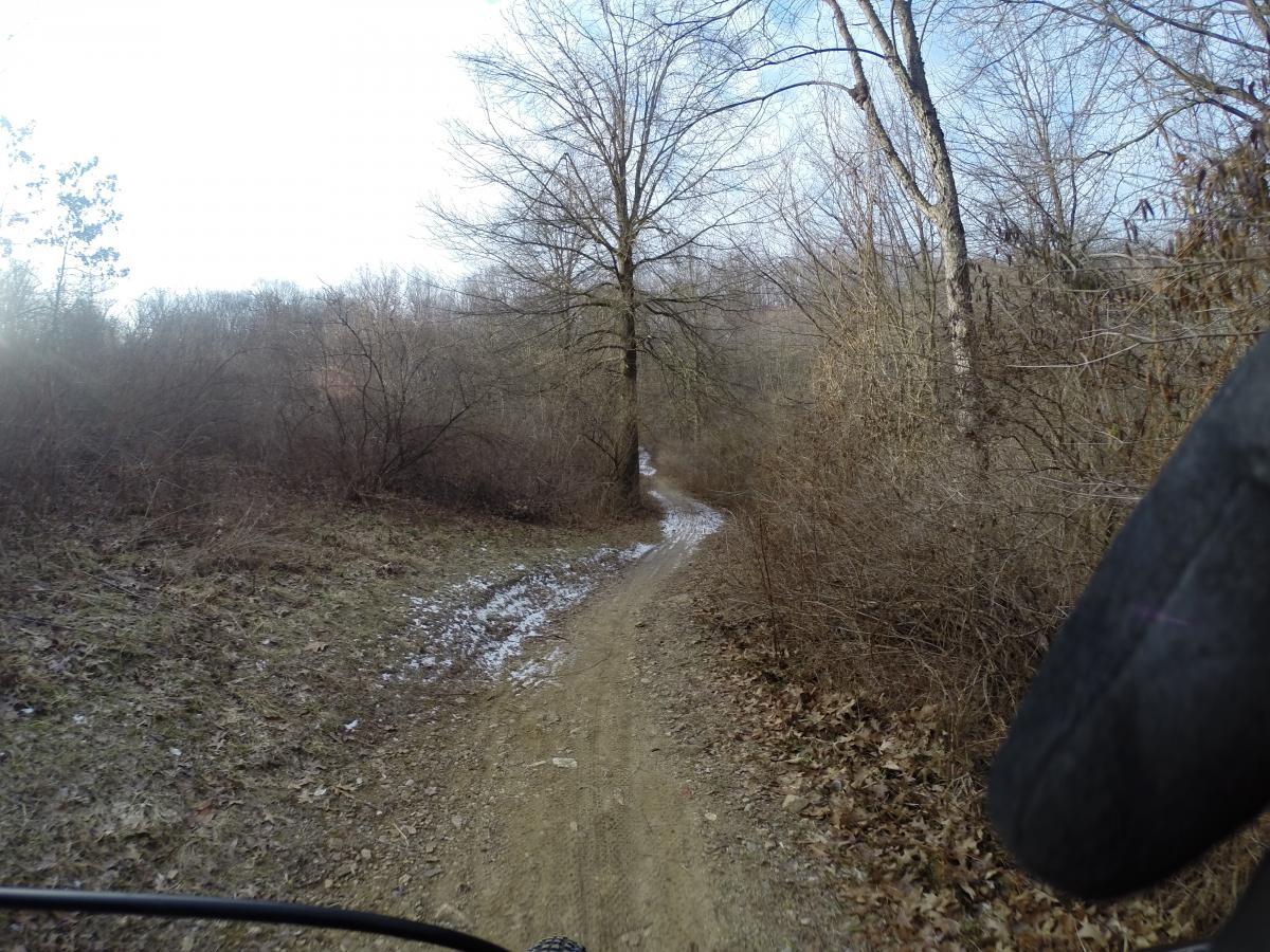 A dirt trail winding through a forested area, with sparse trees and undergrowth on either side. The ground is uneven, showing signs of recent weather, and a small patch of snow is visible on the trail. The scene is set on a clear day with a soft blue sky. Lewis Morris mountain bike trail.