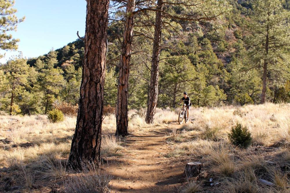 A person riding a mountain bike along a winding dirt trail surrounded by tall pine trees and grassy terrain. The scene is set in a natural, outdoor environment with a clear blue sky in the background. Section 13 mountain bike trail.