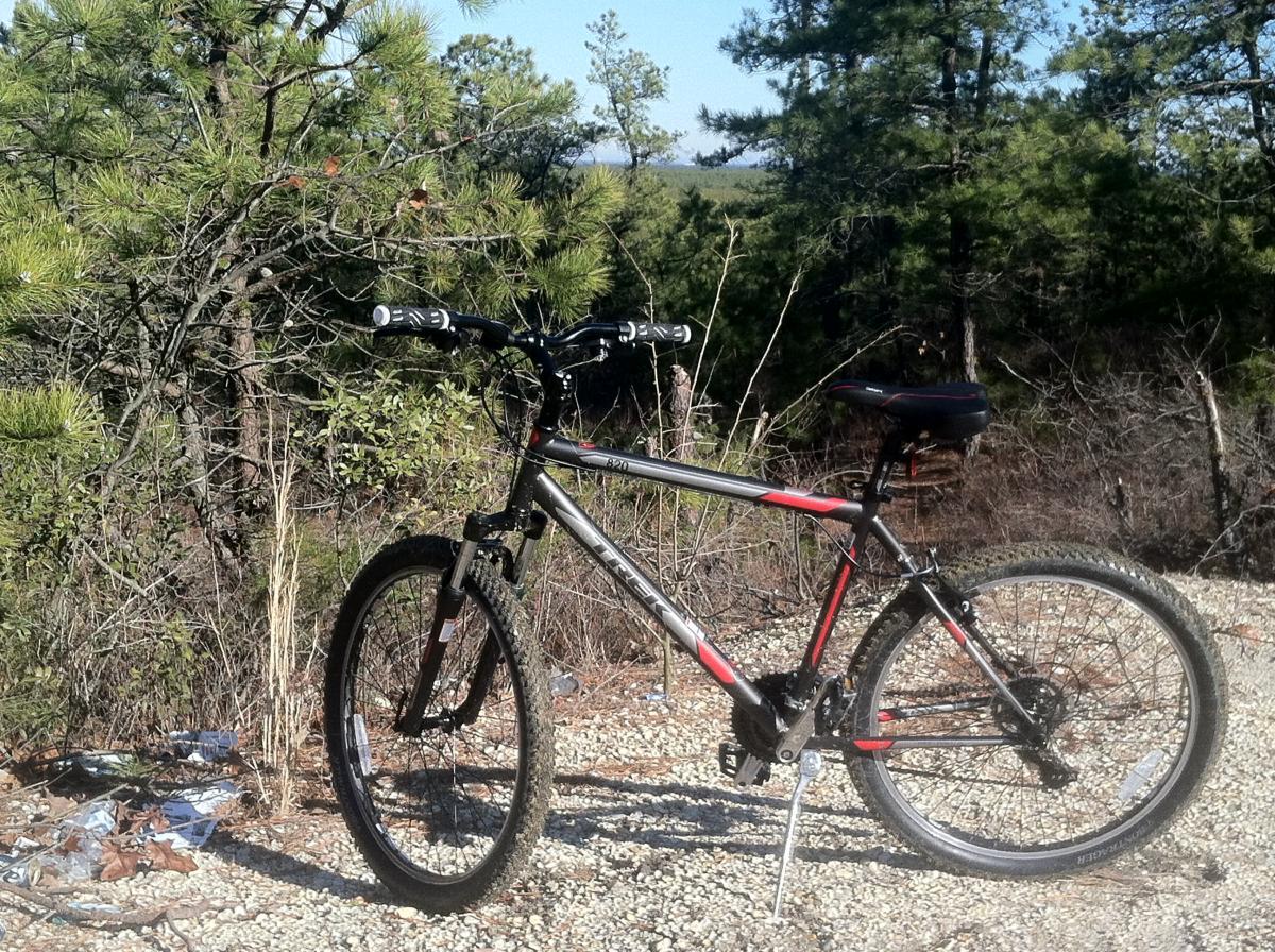 Trek 820: A mountain bike stands on a gravel path, surrounded by trees and greenery. The bike features a silver and red frame, with black handlebars and wheels. In the background, there are various plants and a clear blue sky, indicating a sunny day.