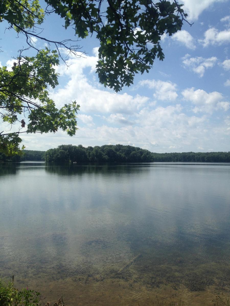 A serene view of a calm lake surrounded by lush green trees and a clear blue sky, with scattered fluffy clouds reflecting on the water's surface. Fort Custer Recreation Area mountain bike trail.
