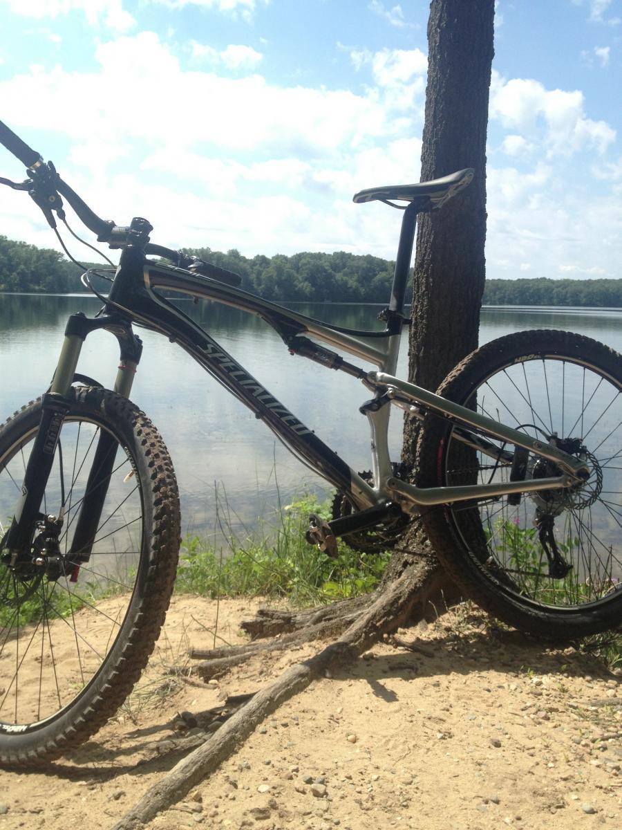 Specialized Epic Comp: Alt text: A mountain bike resting on sandy ground near a calm lake, surrounded by trees and under a blue sky with scattered clouds.