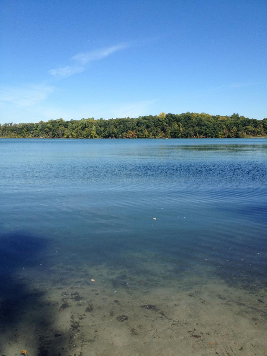 A serene view of a clear lake reflecting the blue sky, with a lush green tree line in the background. The calm water reveals sandy and rocky textures beneath the surface. Potawatomi trail mountain bike trail.