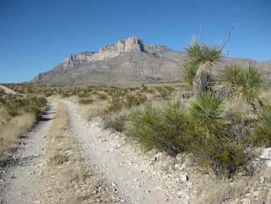 A dirt path winding through a desert landscape, with sparse vegetation and a distant mountain peak under a clear blue sky. Williams Ranch Trail mountain bike trail.
