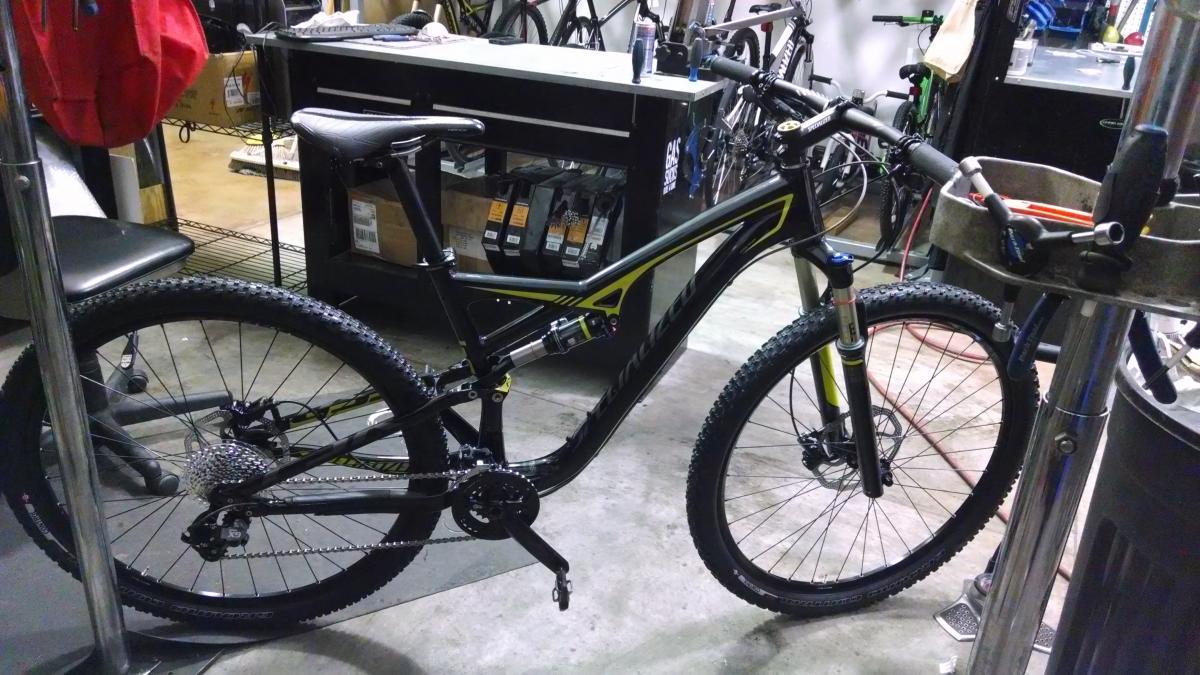 Specialized Camber Comp 29: Mountain bike positioned in a bike shop, showcasing its sleek black frame with yellow accents. The bike features sturdy tires suitable for rough terrain, and is accompanied by various bike accessories and tools in the background.