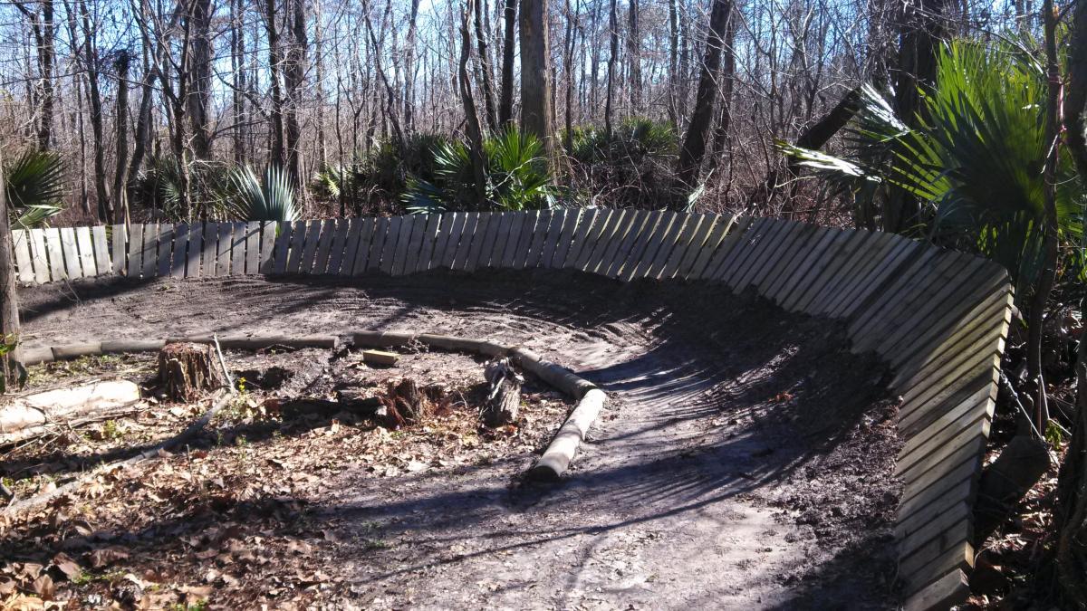 A curved dirt path surrounded by a wooden fence within a wooded area, featuring bare trees and underbrush with palm plants in the background. Bonnet Carre Spillway Trail mountain bike trail.