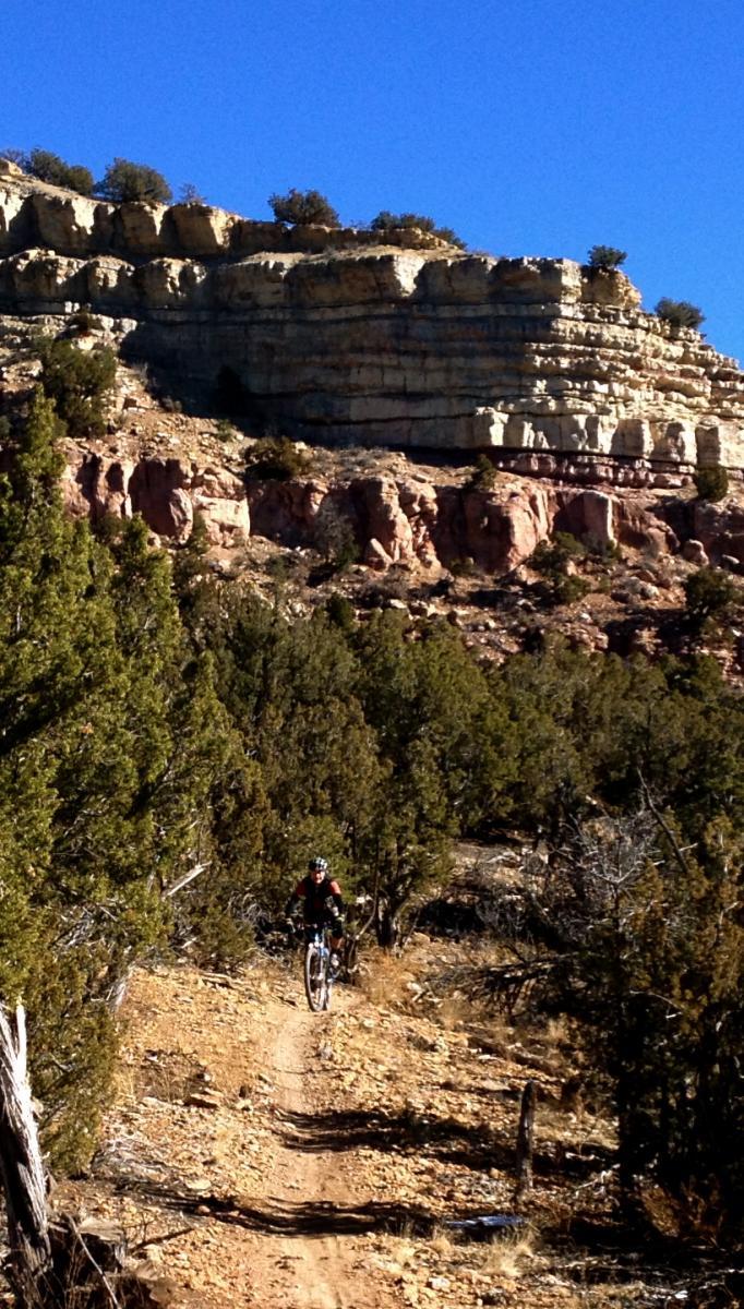 A mountain biker rides along a dirt trail surrounded by shrubs and rocky terrain, with a backdrop of layered cliffs under a clear blue sky. Oil Well Flats mountain bike trail.