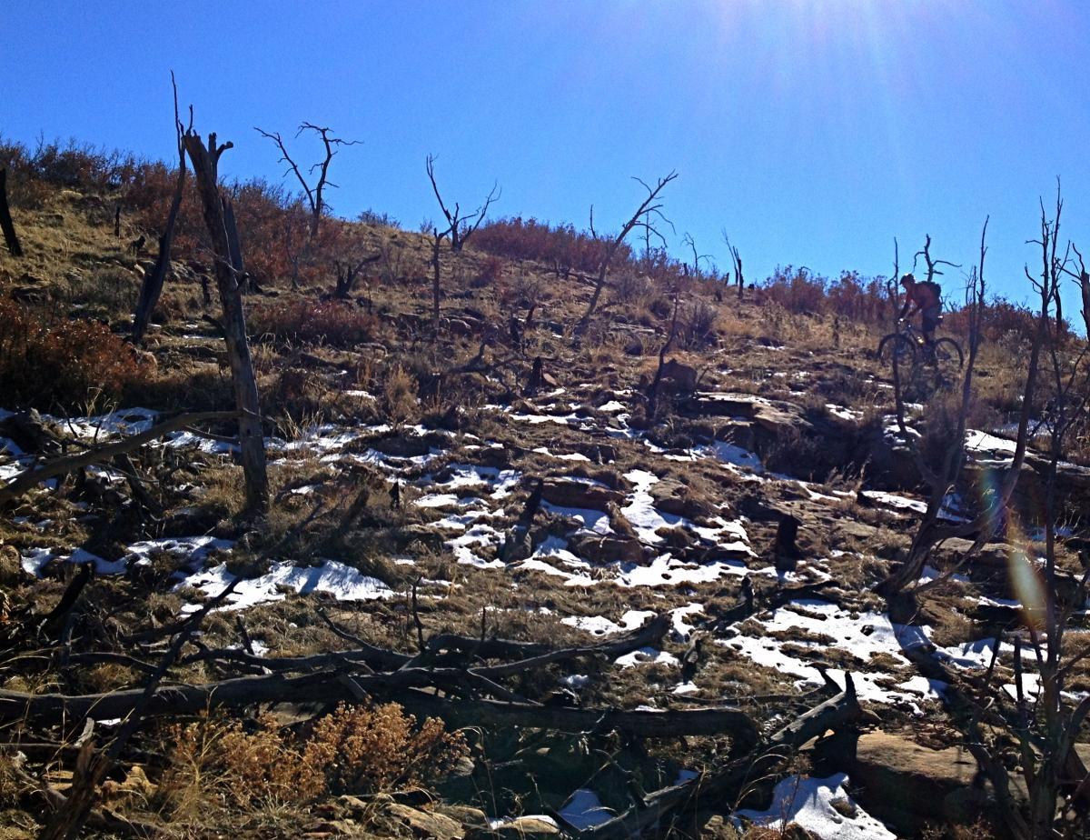 A sloped, rocky terrain with sparse vegetation, showing dead trees and patches of snow. In the background, a mountain biker is navigating the hillside under a clear blue sky with bright sunlight. Oil Well Flats mountain bike trail.