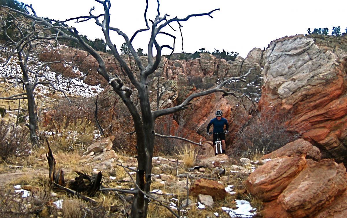 A mountain biker navigating a rocky trail in a rugged landscape with bare trees and colorful rock formations. Snow is visible on the ground, indicating a cooler climate. Oil Well Flats mountain bike trail.