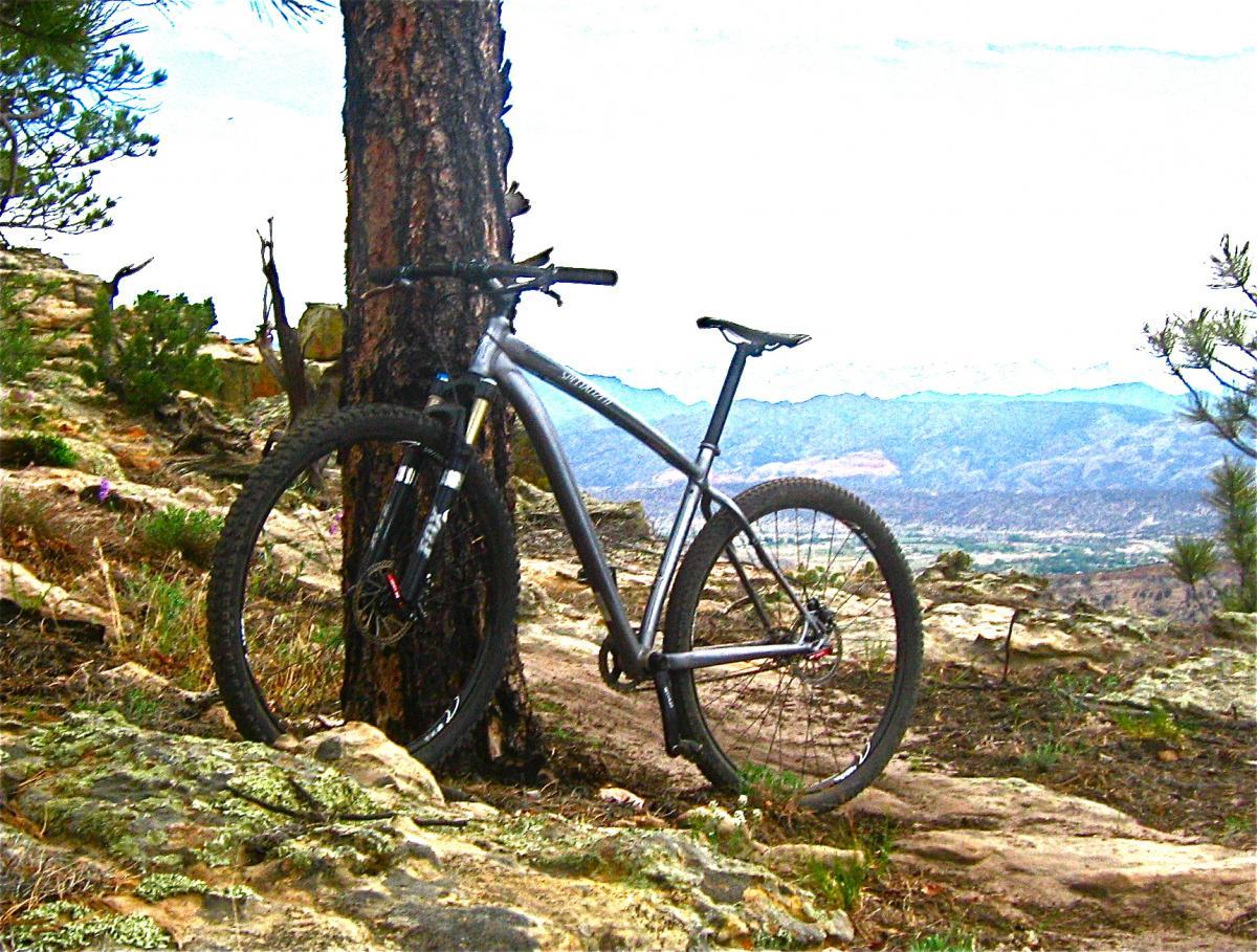 Specialized Stumpjumper Comp 29er: A mountain bike resting against a tree on rocky terrain, with a scenic view of mountains and valleys in the background under a cloudy sky.