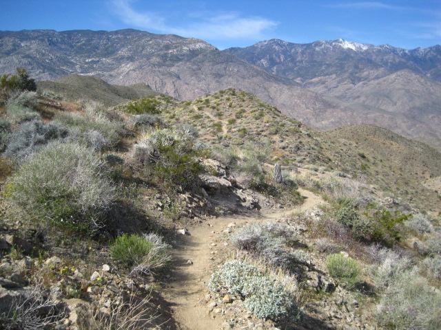 A winding dirt trail surrounded by shrubs and low vegetation, leading through mountainous terrain under a clear blue sky. In the background, rolling hills and snow-capped peaks are visible, creating a scenic outdoor landscape. Dunn Road: Hahn / Buena Vista mountain bike trail.