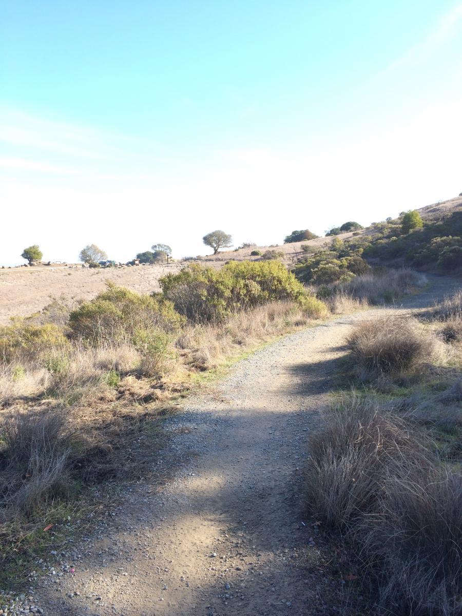 A dirt path winding through a hilly landscape, surrounded by dry grass and sparse bushes under a bright blue sky. China Camp mountain bike trail.