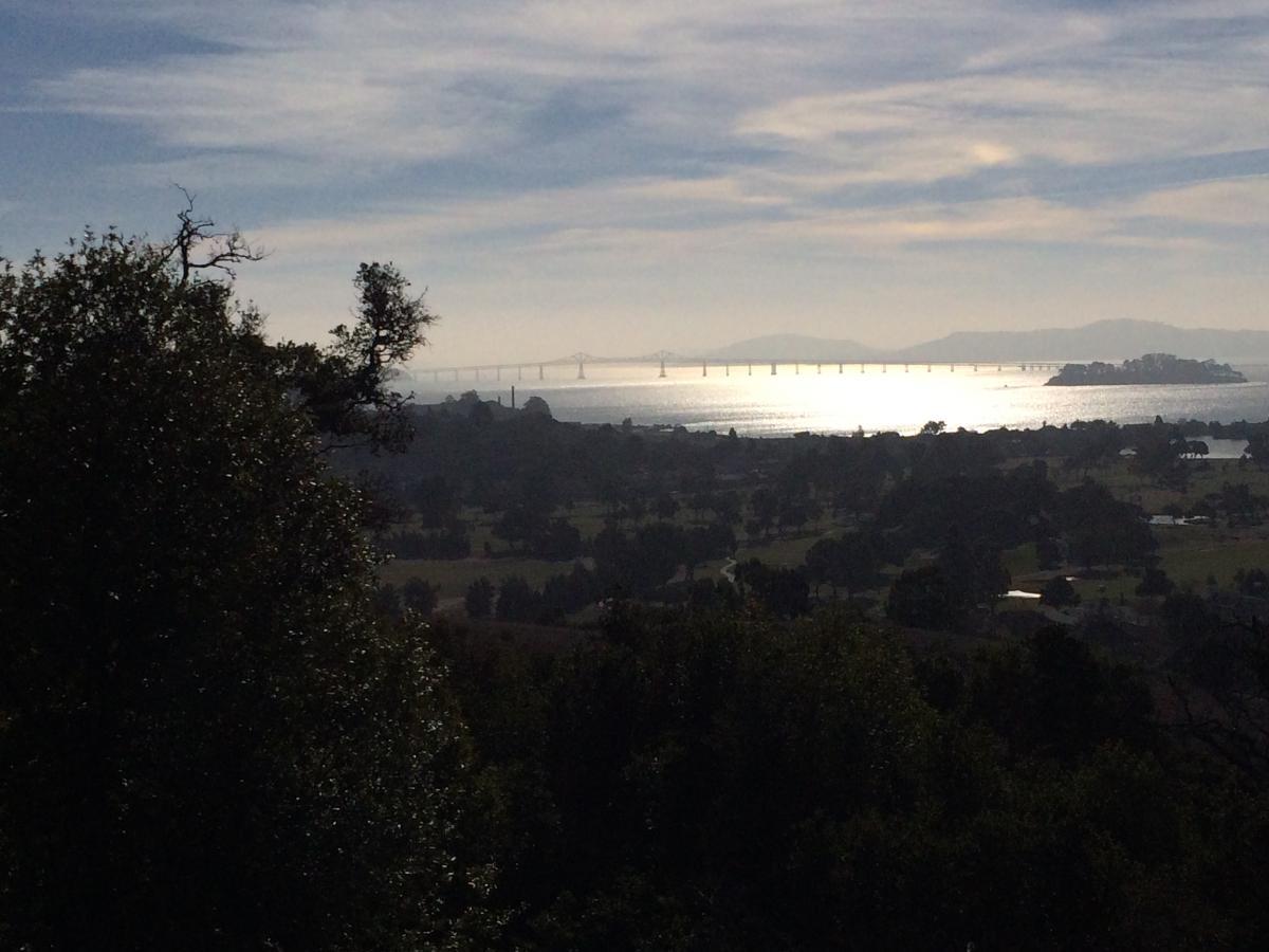 A scenic view of a bridge spanning across shimmering water, with soft sunlight reflecting on the surface. In the foreground, green trees are visible, while distant rolling hills and land masses frame the background, creating a tranquil landscape. China Camp mountain bike trail.