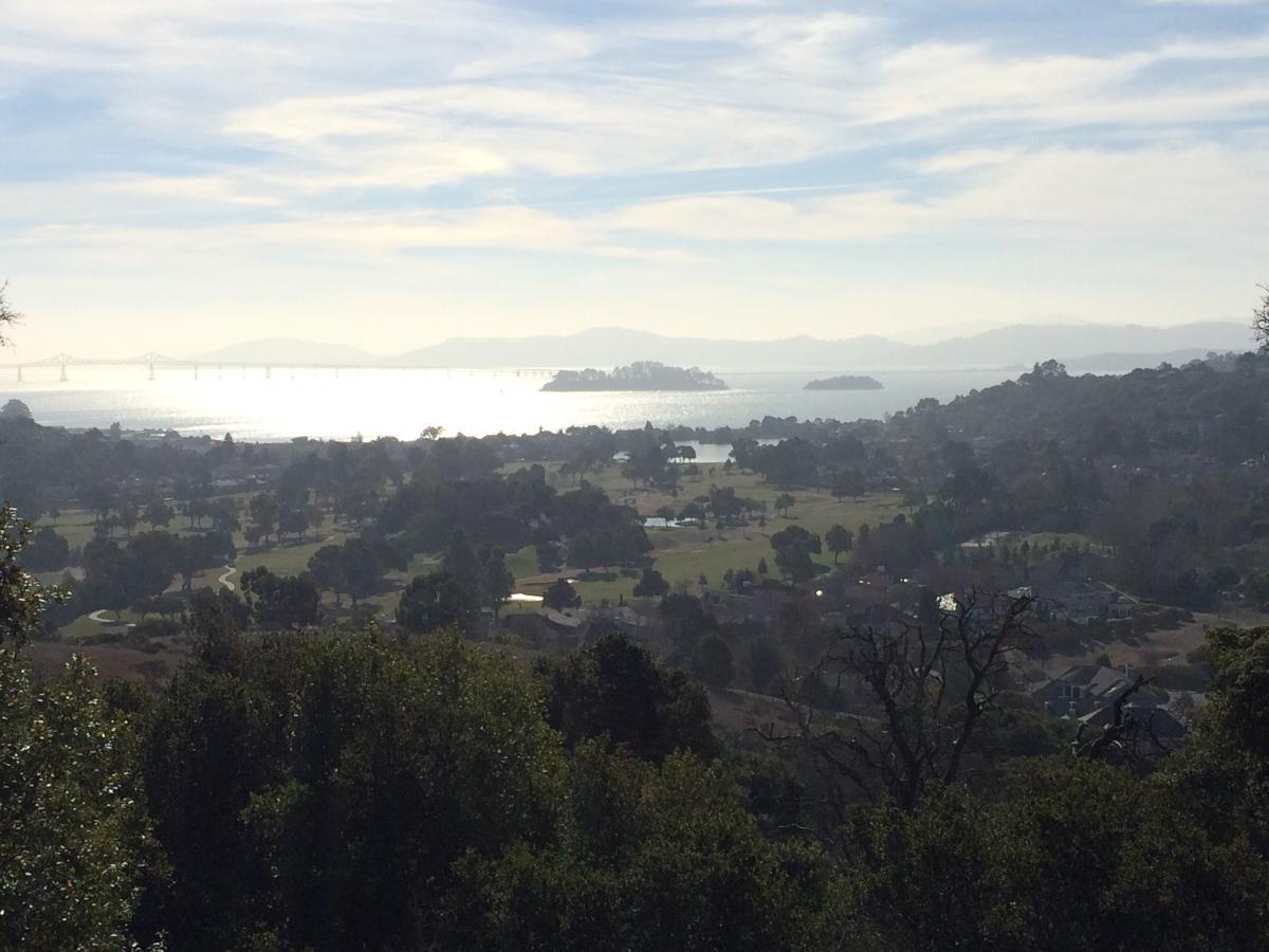 A panoramic view of a coastal landscape featuring lush greenery and a distant bridge spanning the water. Gentle hills and islands are visible across the shimmering surface of the bay, under a bright sky with soft clouds. The foreground includes trees and patches of grass, suggesting a serene natural setting. China Camp mountain bike trail.