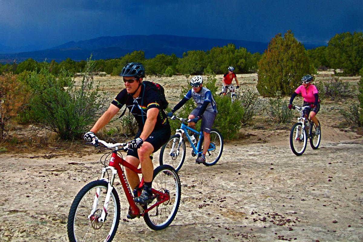 Four mountain bikers riding on a sandy trail surrounded by shrubs and small trees, with dark storm clouds gathering in the background. The group includes three men and one woman, all wearing helmets and cycling gear.