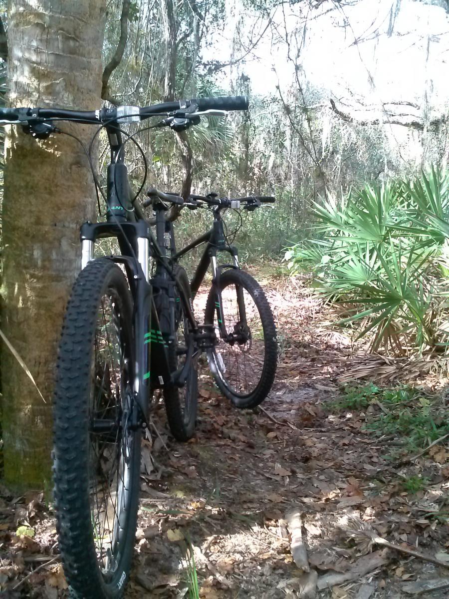 Giant Talon 27.5: Two mountain bikes are leaned against a tree on a narrow dirt trail surrounded by lush greenery and scattered leaves. Sunlight filters through the trees, illuminating the scene and creating a peaceful outdoor atmosphere.